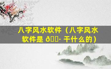 八字风水软件（八字风水软件是 🌷 干什么的）